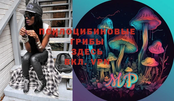 прущие грибы Алексин