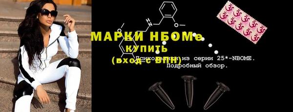 хмурый Алзамай